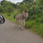 08DA9224-F2D3-4930-8C56-8C74D1EF96D1