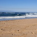 15F96244-6E71-42BE-87AA-C70245F708C6