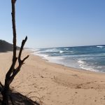 16F7C923-7856-44B8-B9D4-0DA87AFFCCFC