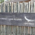 1CDFF2C3-B2D0-4126-B51F-AFC1C03DA7DA