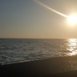 21FB44FD-F833-4E4C-9615-3C9FD87C14FA