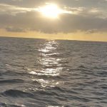 22C67677-3ADF-48B0-82BA-44737255543A