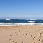 2A0B73C4-0C5A-49E4-AF40-76BB9FC8B4B2