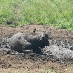 4D19B8BA-C79C-49D8-8B32-B93D2C2DB057