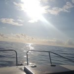 66bac660-79e4-40ba-98db-334ce6f067d7