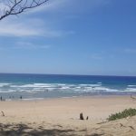 BFA64FFA-7594-479A-92F0-66ADD6924C60