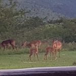 E5DEC880-E1AC-4902-9AFB-143B2C79AA03