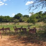 EC6B5EFC-D59B-451E-87CF-0B402A1F4BDA