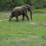 FF8521A2-F7FE-4F24-8BE7-8E2B2A9551EF