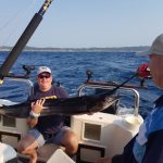 ce28b717-ab4a-4662-8516-f70653dd3ec7