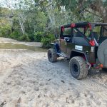 DE764E95-06F4-4F12-9FFB-5D1037E8D7CA