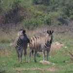 0173E20E-AF30-48FC-9318-2D307F23E66F