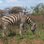 07F2E73A-B9A4-49DB-BA7C-A9E9591DAA49