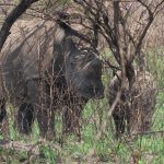 2C77F4F2-3ECF-4385-B790-3D4A9AF5984D