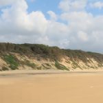 758A083D-5081-4F8F-9F84-7FAE26529FD7