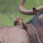 7F9106F8-C1A7-4244-A163-34087CDC5942