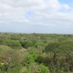 8A638CFD-3C06-4781-8C59-139CC095CB63