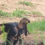 922024A5-569B-41EC-AAFE-3AC52BEAC09C