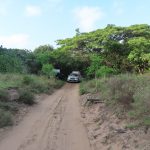 987BC18A-2B05-4E92-AF02-844D2494DE04