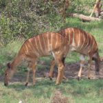 A32DDEA8-2A81-4E71-9E6E-2687CEAA556D