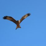 A4996F44-FB75-480D-A62E-4B783EA60ED7