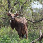 B48C1F58-D8D7-4278-B432-5E117DDA13AD